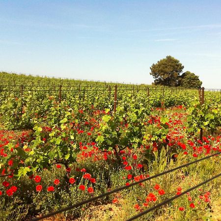 Maison De Margot Peyriac-Minervois Eksteriør billede
