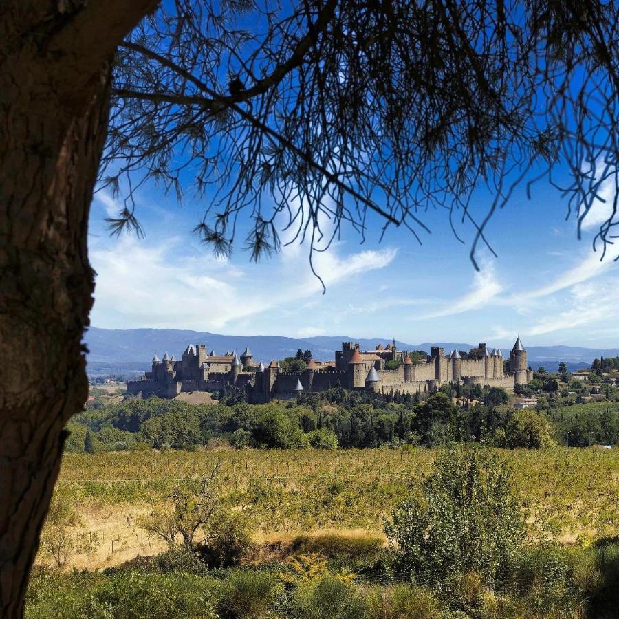 Maison De Margot Peyriac-Minervois Eksteriør billede