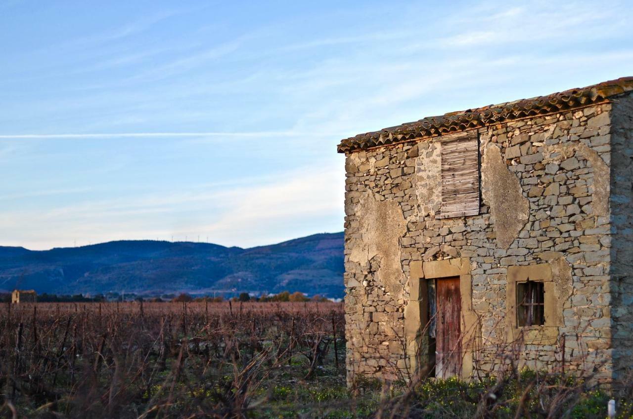 Maison De Margot Peyriac-Minervois Eksteriør billede
